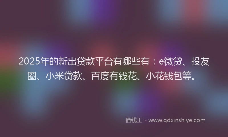 2025年的新出贷款平台有哪些有：e微贷、投友圈、小米贷款、百度有钱花、小花钱包等。