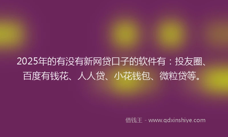2025年的有没有新网贷口子的软件有：投友圈、百度有钱花、人人贷、小花钱包、微粒贷等。