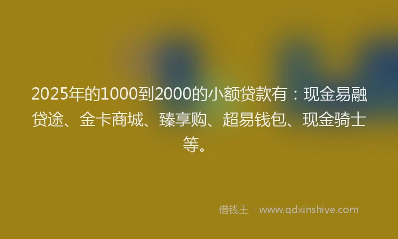 2025年的1000到2000的小额贷款有：现金易融贷途、金卡商城、臻享购、超易钱包、现金骑士等。