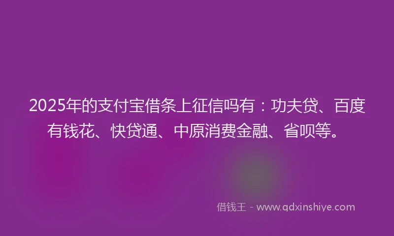 2025年的支付宝借条上征信吗有：功夫贷、百度有钱花、快贷通、中原消费金融、省呗等。