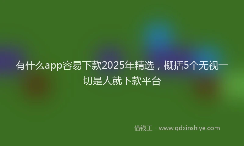 有什么app容易下款2025年精选，概括5个无视一切是人就下款平台