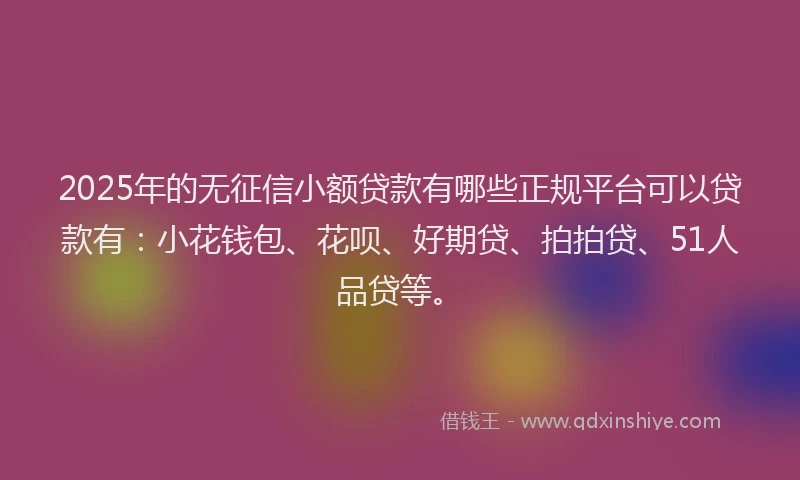2025年的无征信小额贷款有哪些正规平台可以贷款有：小花钱包、花呗、好期贷、拍拍贷、51人品贷等。