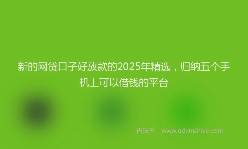 新的网贷口子好放款的2025年精选，归纳五个手机上可以借钱的平台
