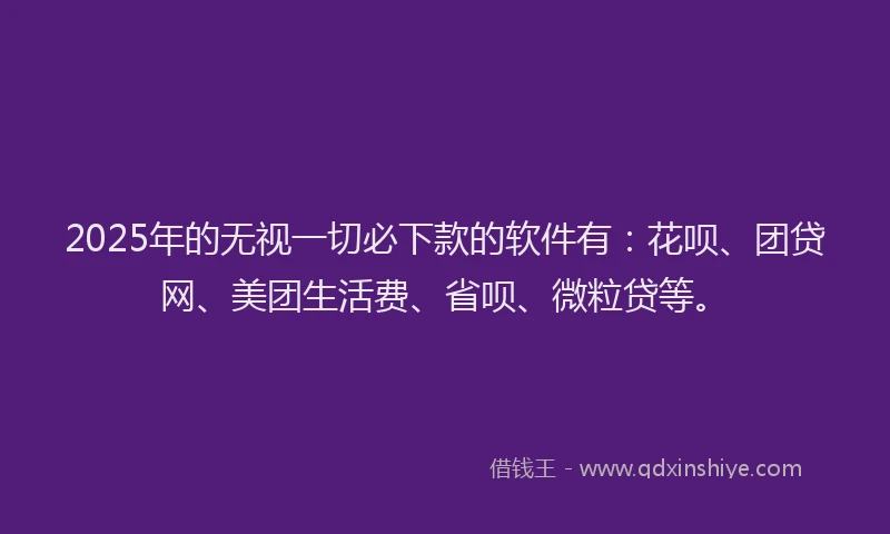 2025年的无视一切必下款的软件有：花呗、团贷网、美团生活费、省呗、微粒贷等。