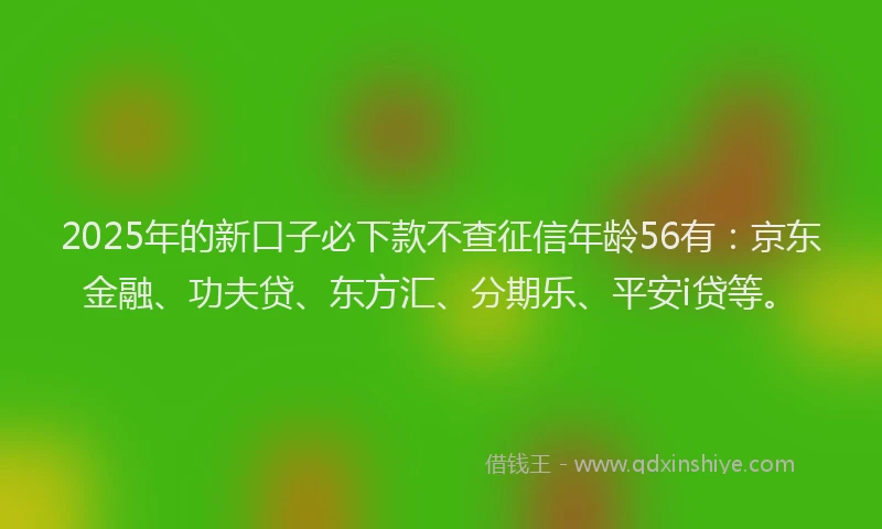 2025年的新口子必下款不查征信年龄56有：京东金融、功夫贷、东方汇、分期乐、平安i贷等。