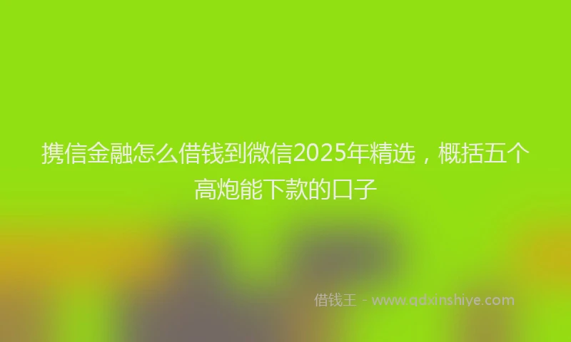 携信金融怎么借钱到微信2025年精选，概括五个高炮能下款的口子