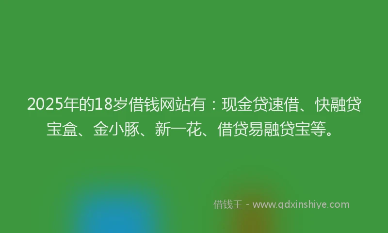 2025年的18岁借钱网站有：现金贷速借、快融贷宝盒、金小豚、新一花、借贷易融贷宝等。