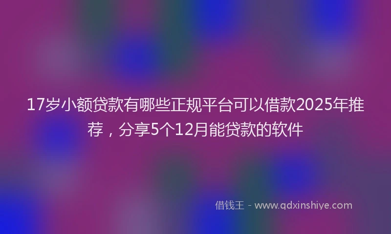 17岁小额贷款有哪些正规平台可以借款2025年推荐，分享5个12月能贷款的软件