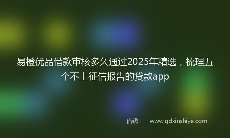 易橙优品借款审核多久通过2025年精选，梳理五个不上征信报告的贷款app