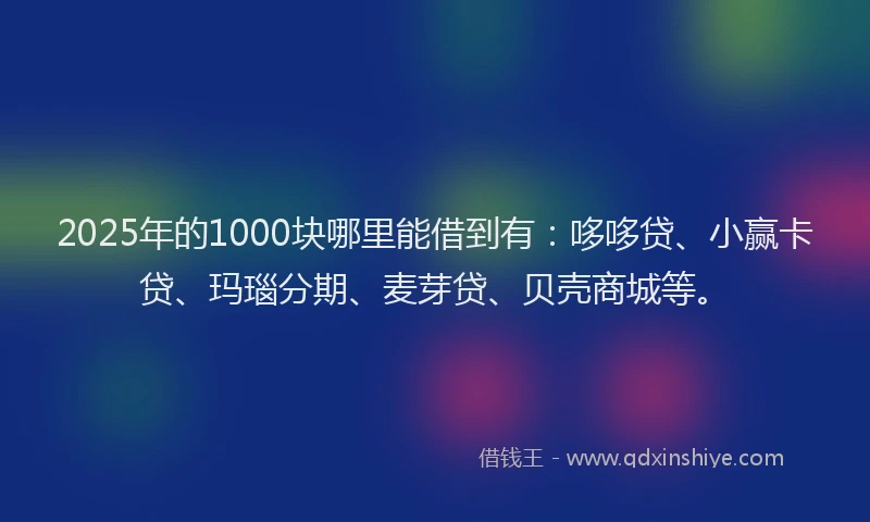 2025年的1000块哪里能借到有：哆哆贷、小赢卡贷、玛瑙分期、麦芽贷、贝壳商城等。