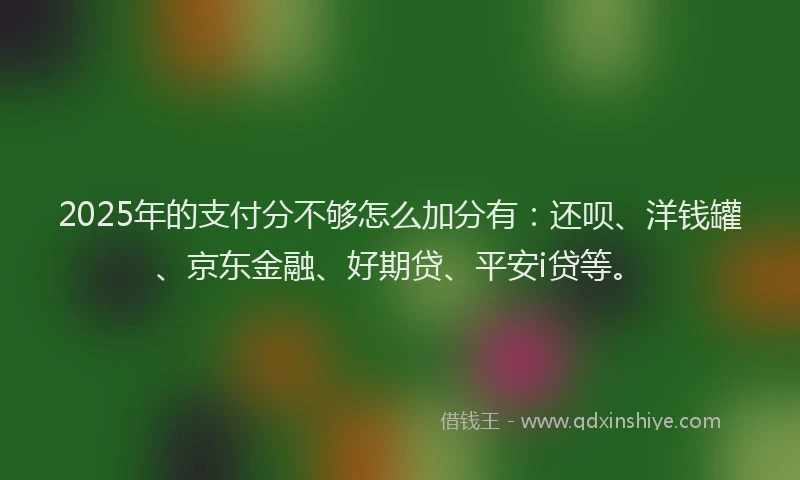 2025年的支付分不够怎么加分有：还呗、洋钱罐、京东金融、好期贷、平安i贷等。