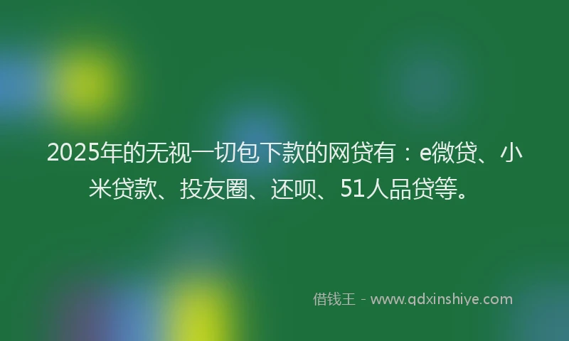 2025年的无视一切包下款的网贷有：e微贷、小米贷款、投友圈、还呗、51人品贷等。