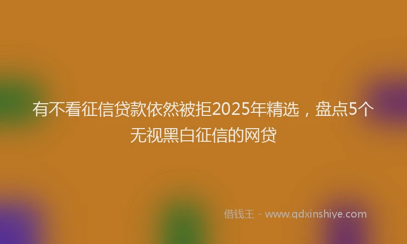 有不看征信贷款依然被拒2025年精选，盘点5个无视黑白征信的网贷
