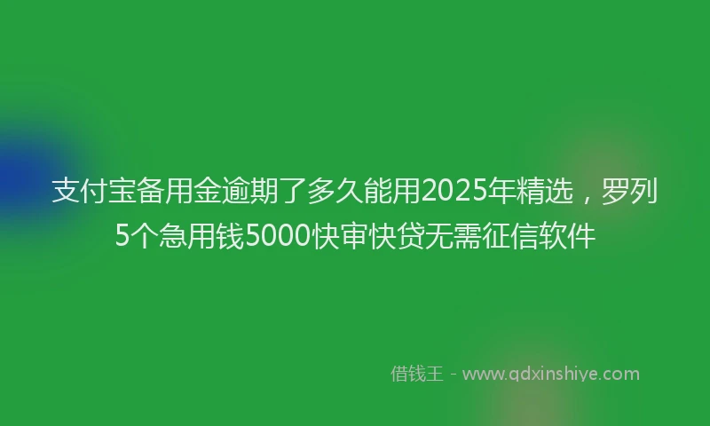 支付宝备用金逾期了多久能用2025年精选，罗列5个急用钱5000快审快贷无需征信软件