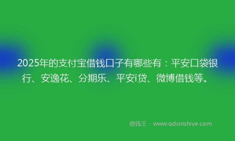 2025年的支付宝借钱口子有哪些有：平安口袋银行、安逸花、分期乐、平安i贷、微博借钱等。