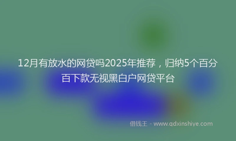12月有放水的网贷吗2025年推荐，归纳5个百分百下款无视黑白户网贷平台