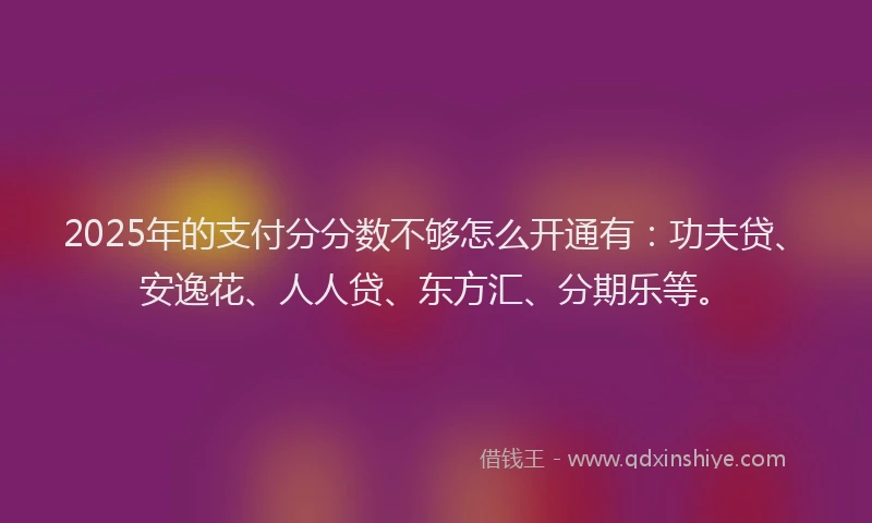 2025年的支付分分数不够怎么开通有：功夫贷、安逸花、人人贷、东方汇、分期乐等。