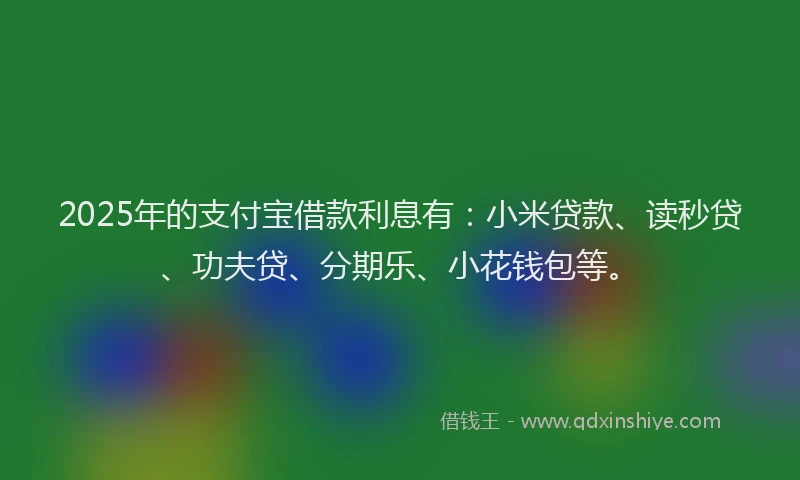 2025年的支付宝借款利息有：小米贷款、读秒贷、功夫贷、分期乐、小花钱包等。