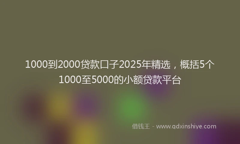 1000到2000贷款口子2025年精选，概括5个1000至5000的小额贷款平台