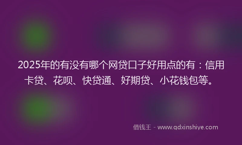 2025年的有没有哪个网贷口子好用点的有：信用卡贷、花呗、快贷通、好期贷、小花钱包等。