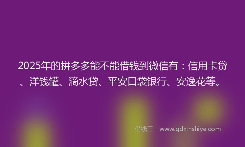 2025年的拼多多能不能借钱到微信有：信用卡贷、洋钱罐、滴水贷、平安口袋银行、安逸花等。