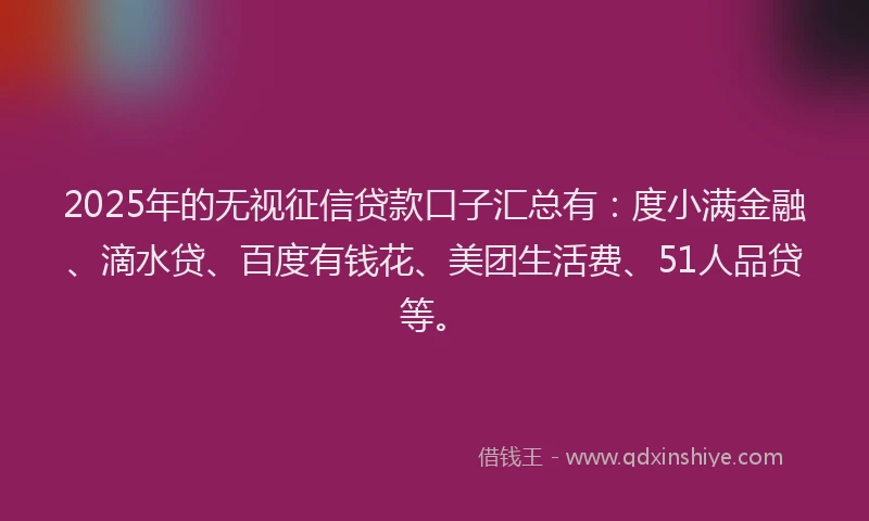 2025年的无视征信贷款口子汇总有：度小满金融、滴水贷、百度有钱花、美团生活费、51人品贷等。