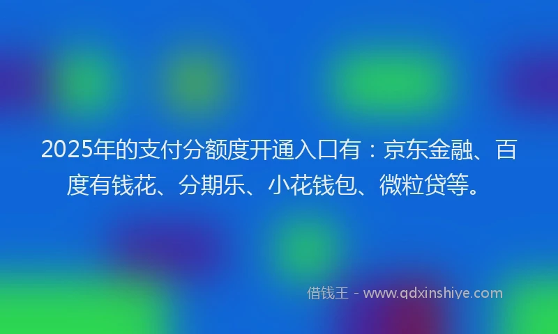 2025年的支付分额度开通入口有：京东金融、百度有钱花、分期乐、小花钱包、微粒贷等。