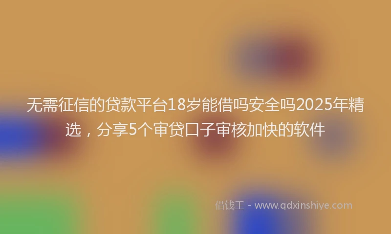 无需征信的贷款平台18岁能借吗安全吗2025年精选，分享5个审贷口子审核加快的软件