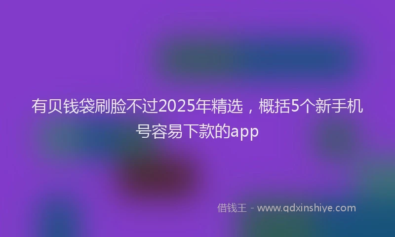 有贝钱袋刷脸不过2025年精选，概括5个新手机号容易下款的app