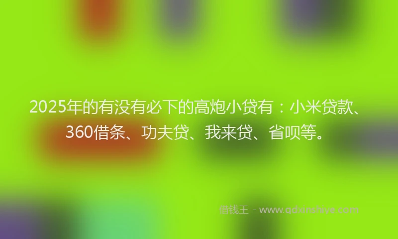 2025年的有没有必下的高炮小贷有：小米贷款、360借条、功夫贷、我来贷、省呗等。