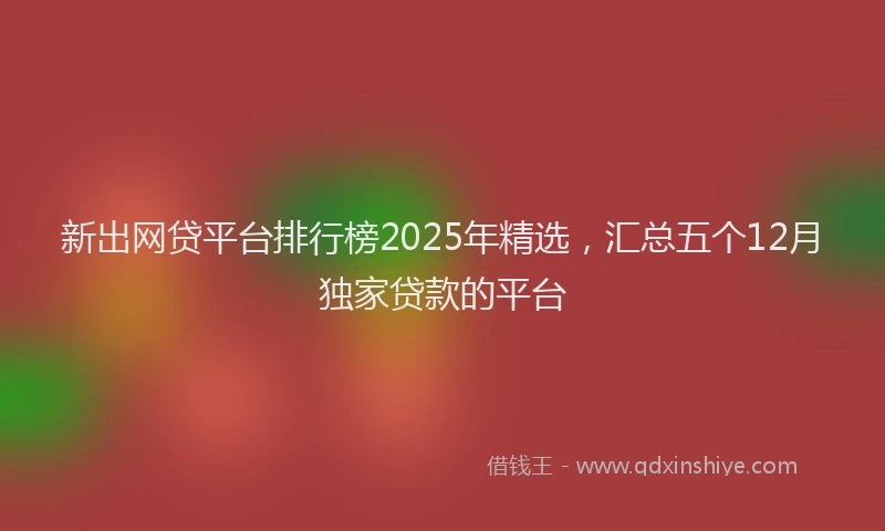 新出网贷平台排行榜2025年精选，汇总五个12月独家贷款的平台
