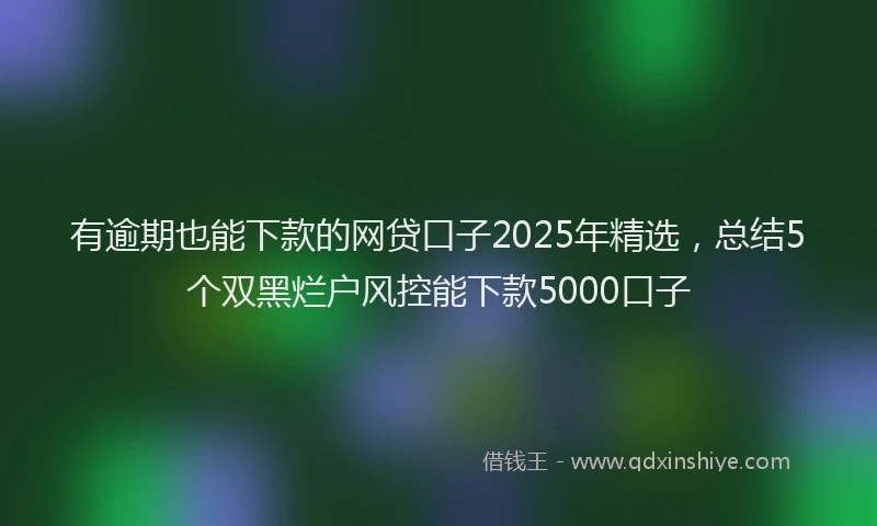 有逾期也能下款的网贷口子2025年精选，总结5个双黑烂户风控能下款5000口子
