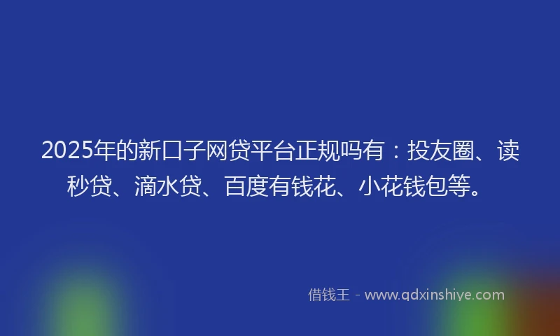 2025年的新口子网贷平台正规吗有：投友圈、读秒贷、滴水贷、百度有钱花、小花钱包等。