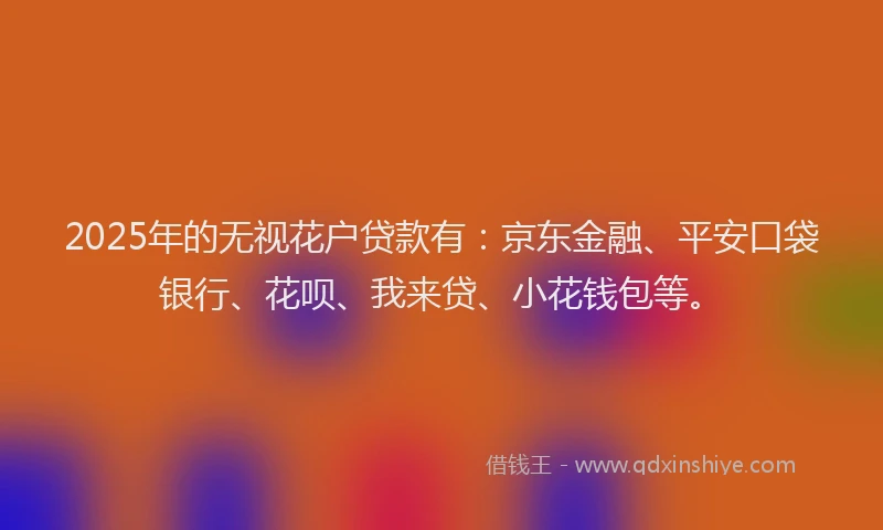 2025年的无视花户贷款有：京东金融、平安口袋银行、花呗、我来贷、小花钱包等。