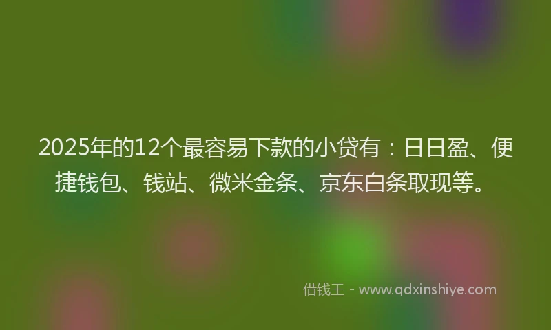 2025年的12个最容易下款的小贷有：日日盈、便捷钱包、钱站、微米金条、京东白条取现等。