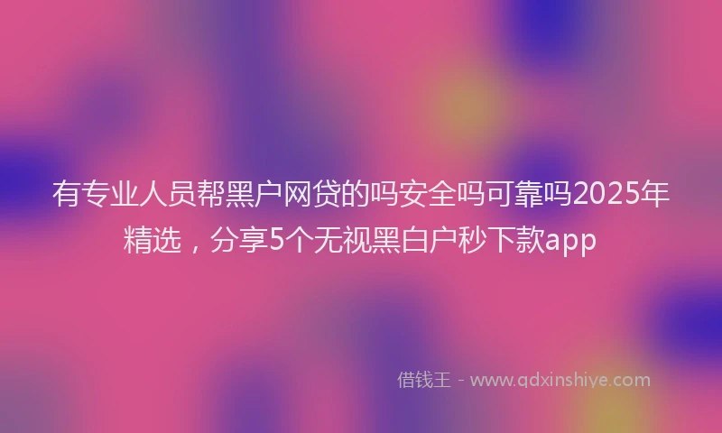 有专业人员帮黑户网贷的吗安全吗可靠吗2025年精选，分享5个无视黑白户秒下款app