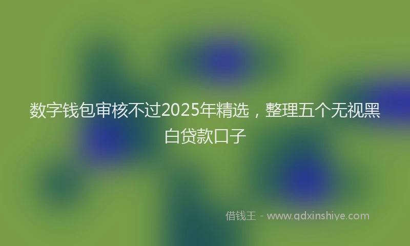 数字钱包审核不过2025年精选，整理五个无视黑白贷款口子