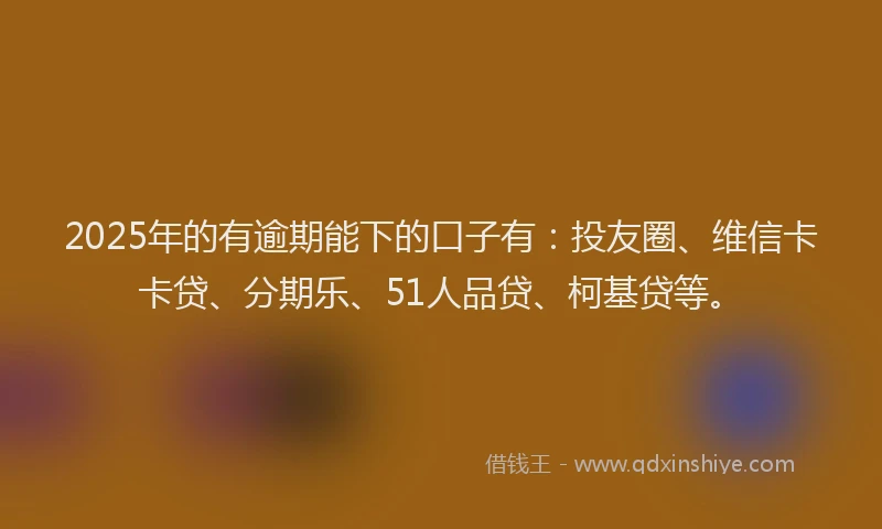 2025年的有逾期能下的口子有：投友圈、维信卡卡贷、分期乐、51人品贷、柯基贷等。