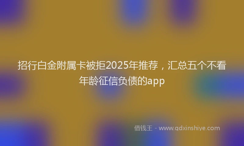 招行白金附属卡被拒2025年推荐，汇总五个不看年龄征信负债的app