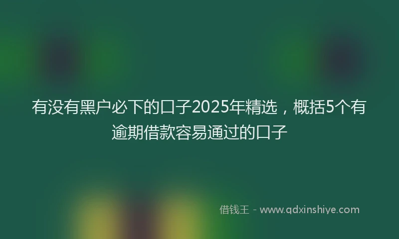 有没有黑户必下的口子2025年精选，概括5个有逾期借款容易通过的口子
