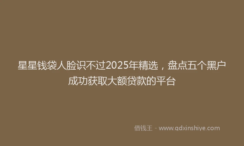 星星钱袋人脸识不过2025年精选，盘点五个黑户成功获取大额贷款的平台