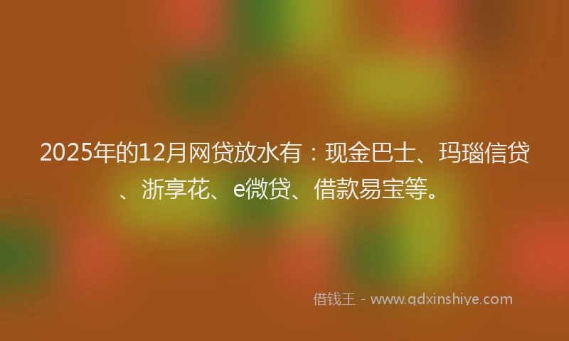 2025年的12月网贷放水有：现金巴士、玛瑙信贷、浙享花、e微贷、借款易宝等。