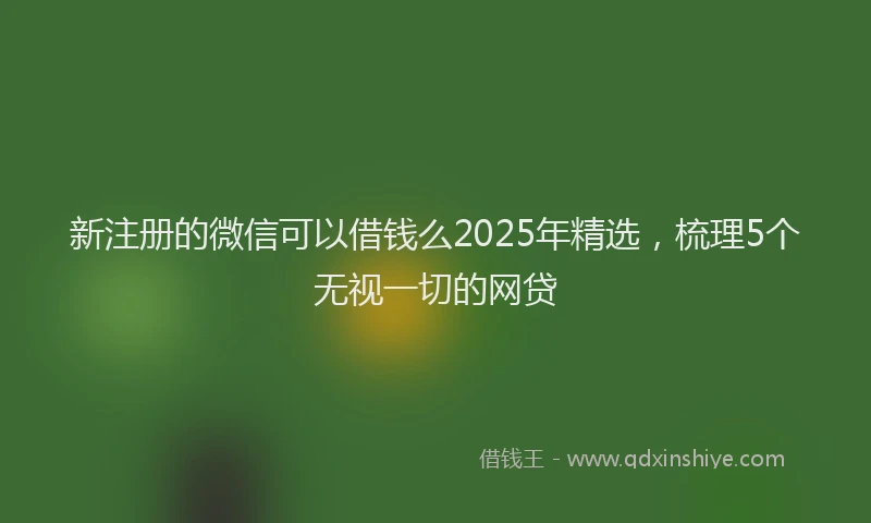 新注册的微信可以借钱么2025年精选，梳理5个无视一切的网贷