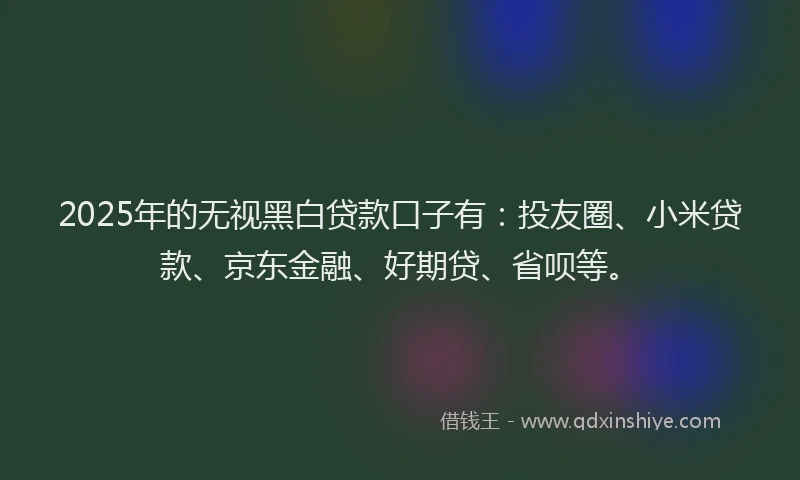 2025年的无视黑白贷款口子有：投友圈、小米贷款、京东金融、好期贷、省呗等。