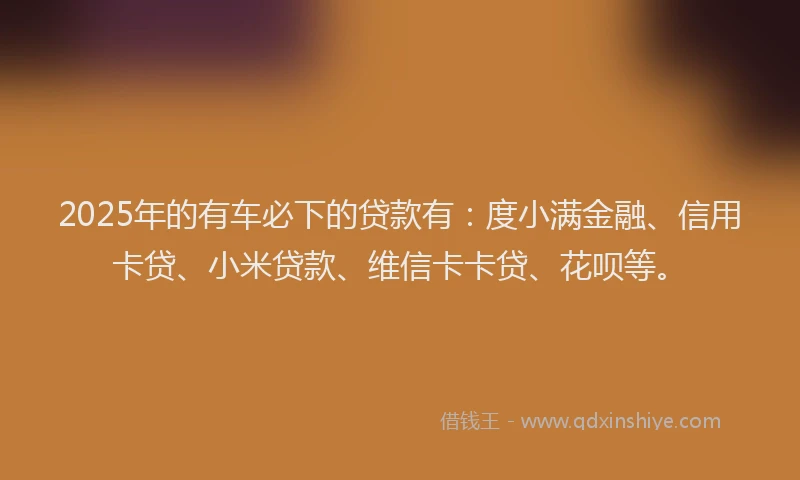 2025年的有车必下的贷款有：度小满金融、信用卡贷、小米贷款、维信卡卡贷、花呗等。