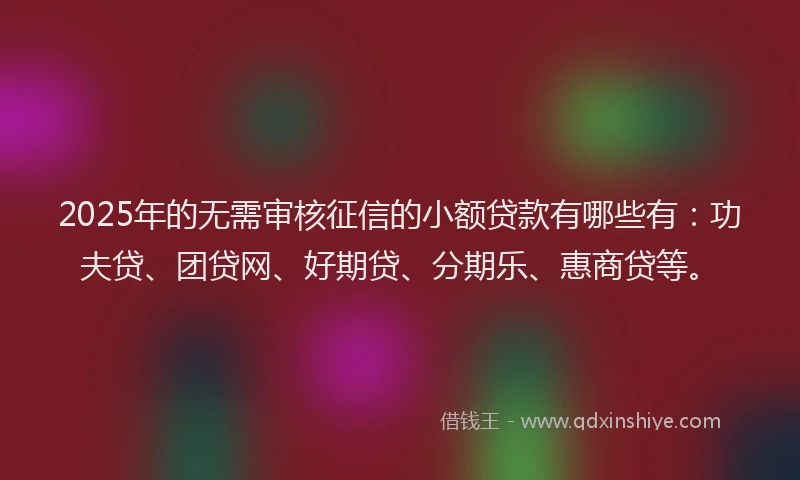 2025年的无需审核征信的小额贷款有哪些有：功夫贷、团贷网、好期贷、分期乐、惠商贷等。