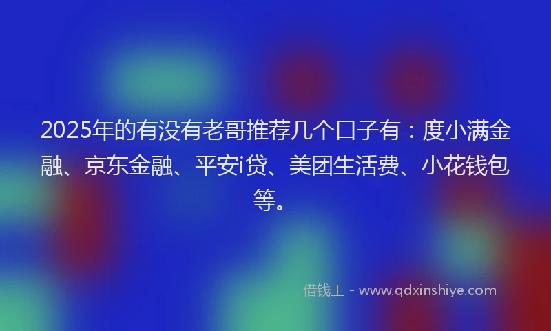 2025年的有没有老哥推荐几个口子有：度小满金融、京东金融、平安i贷、美团生活费、小花钱包等。
