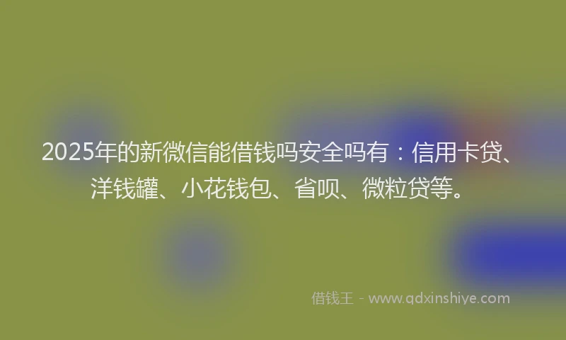 2025年的新微信能借钱吗安全吗有：信用卡贷、洋钱罐、小花钱包、省呗、微粒贷等。