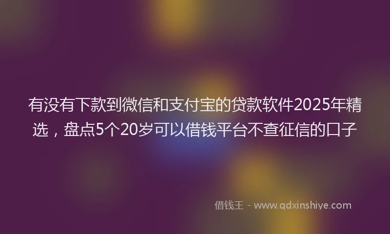 有没有下款到微信和支付宝的贷款软件2025年精选，盘点5个20岁可以借钱平台不查征信的口子