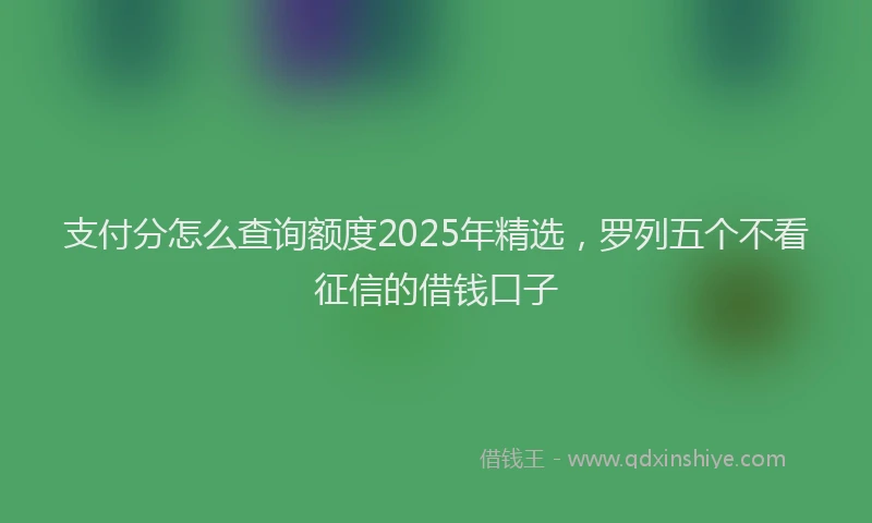 支付分怎么查询额度2025年精选，罗列五个不看征信的借钱口子